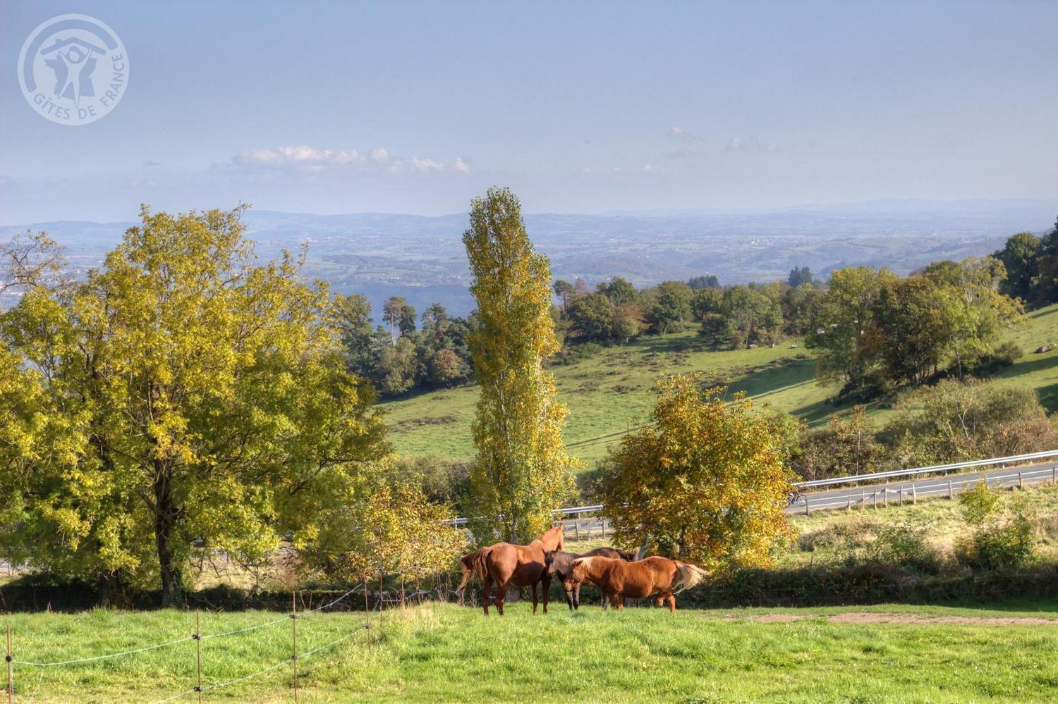 לינה וארוחת בוקר Villemontais La Ferme Des Galoches מראה חיצוני תמונה